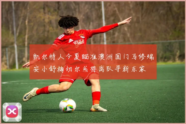 凯尔特人今夏瞄准澳洲国门马修瑞安小舒梅切尔或将离队寻新东家
