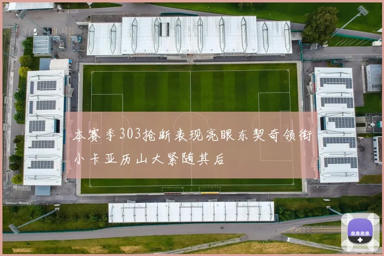 本赛季303抢断表现亮眼东契奇领衔小卡亚历山大紧随其后